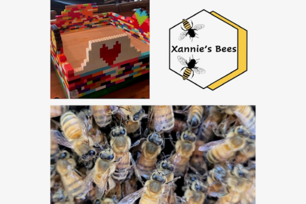Xannie's Bees