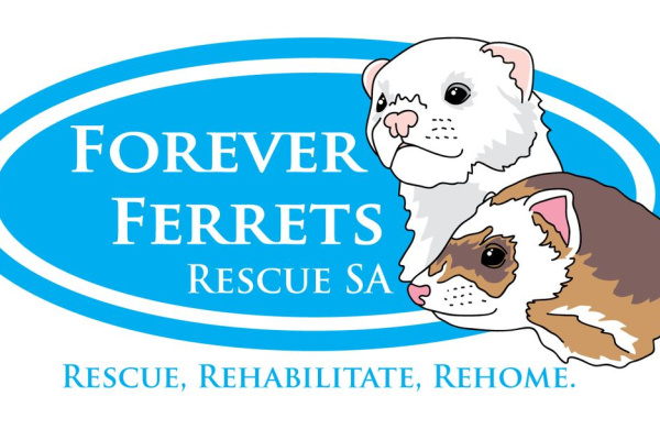Forever Ferrets Rescue SA