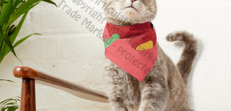 The Articulated Cat™  banner